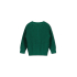 The New Chapter - Ruth Gebreide sweater (groen)